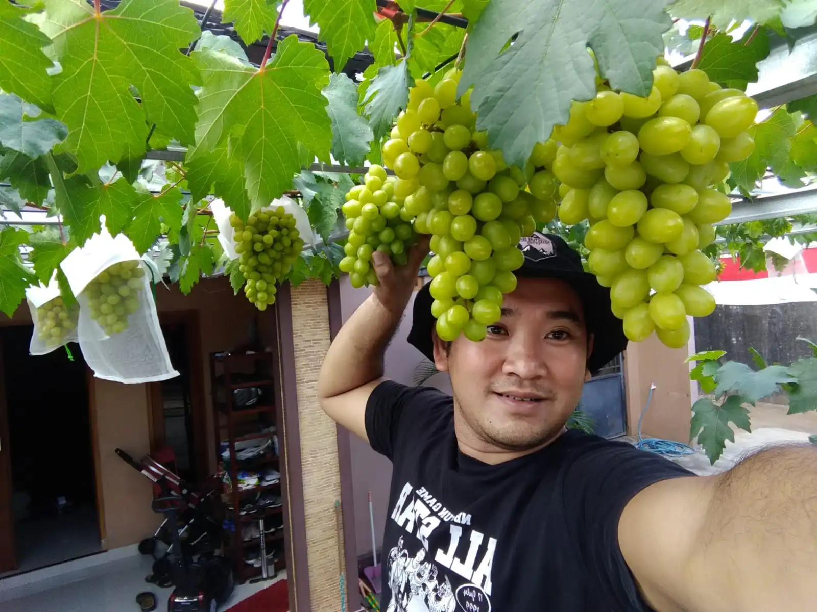 Yufa Grape - Owner Yufa Grape